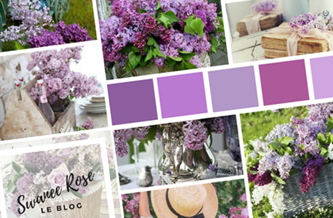 Photo d'un collage avec des photos de lilas sur Swanee Rose Le Blog