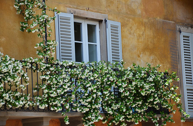 fleurs-au-balcon-à-Bergame-en-Italie