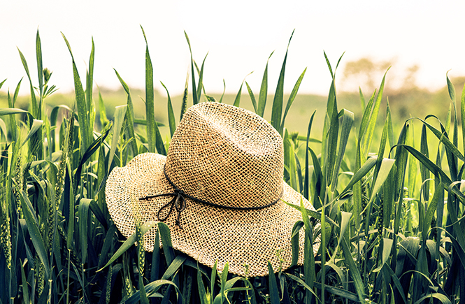Chapeau de paille dans l'herbe