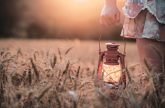 Ballade avec une lanterne dans une champ de blé