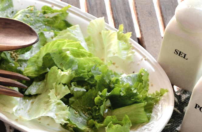 salade-verte-pour-accompagner-cannelloni-aux-courgettes