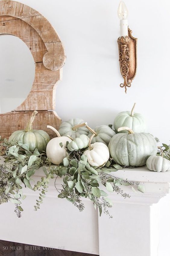 Citrouilles blanc vert pour décorer le salon