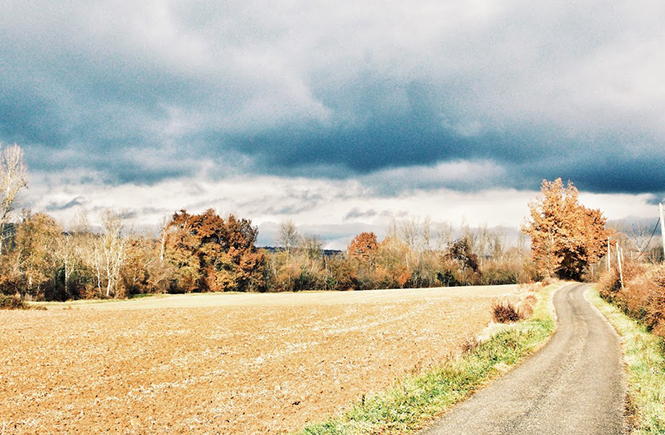 Campagne en automne