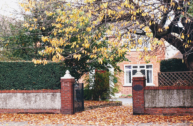 Feuilles d'automne à Dublin sur Swanee Rose Le Blog