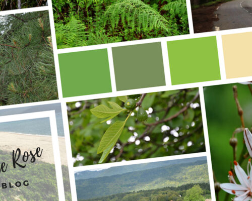 Moodboard de la Corse en mai côté montagne sur Swanee Rose Le Blog