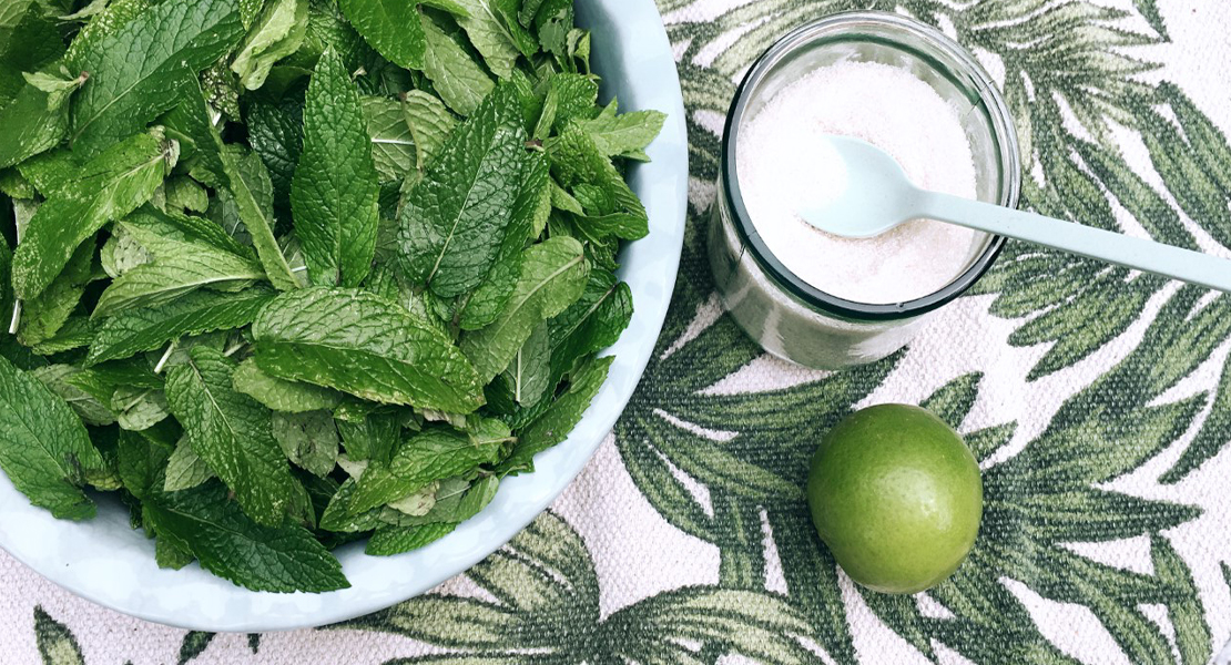 Ingrédients pour un sirop de menthe fraice bio fait maison sur Swanege Rose Le Blo