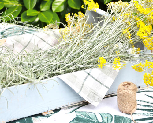 Fleurs d'immortelles sur Swanee Rose Le Blog