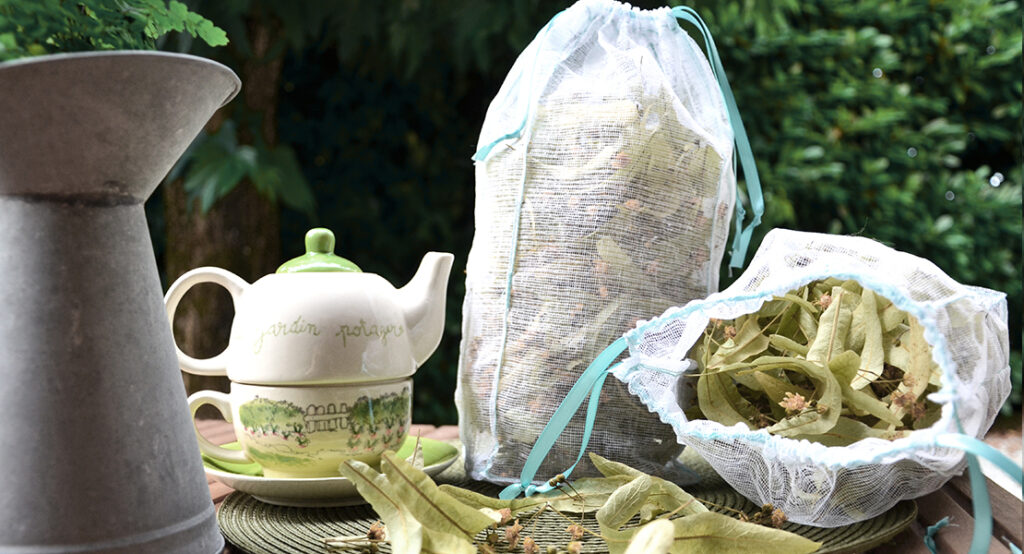 Conserver votre récolte de tilleul pour l'hiver - Swanee Rose Le Blog
