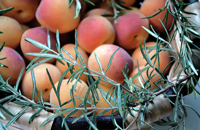 panier-abricots
