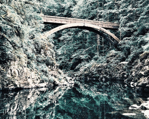 Pont au dessus d'une rivière dans une nature sauvage