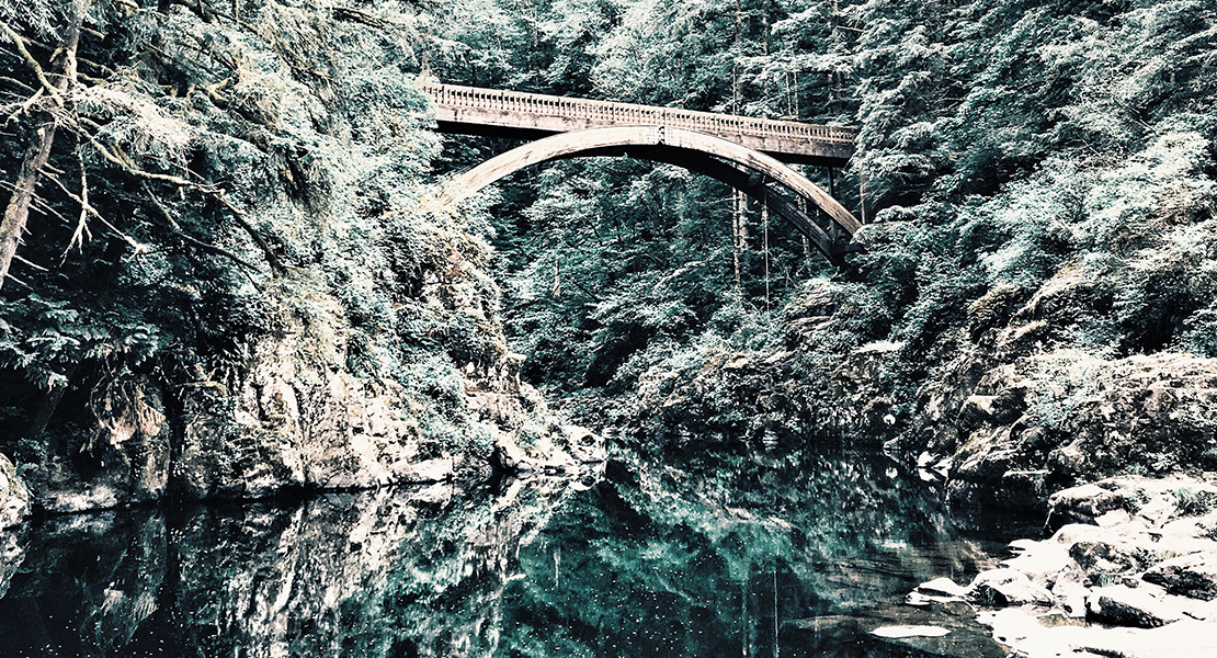 Pont au dessus d'une rivière dans une nature sauvage