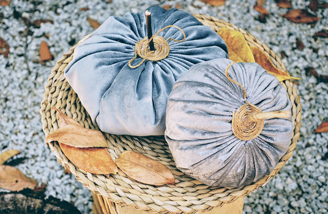 Velvet Fall pumpkins by Swanee Rose Le Blog