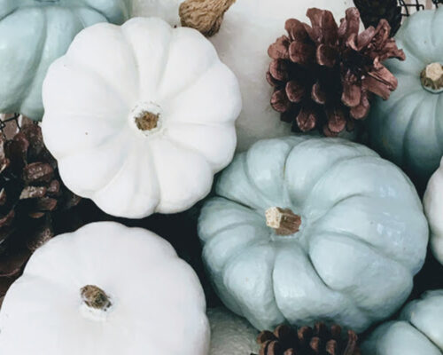 DIY Centre de table d'automne avec mini citrouilles sur Swanee Rose Le Blog