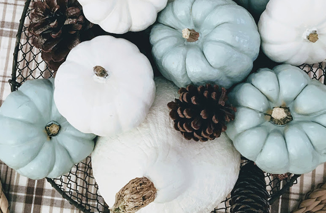 DIY Centre de table d'automne avec mini citrouilles sur Swanee Rose Le Blog