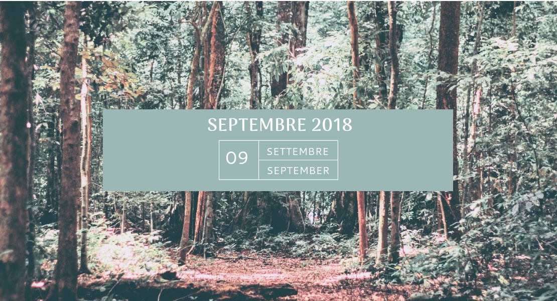 Mon agenda de septembre 2018 Swanee Rose Le Blog