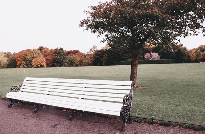 Ballade au parc en automne sur Swanee Rose Le Blog