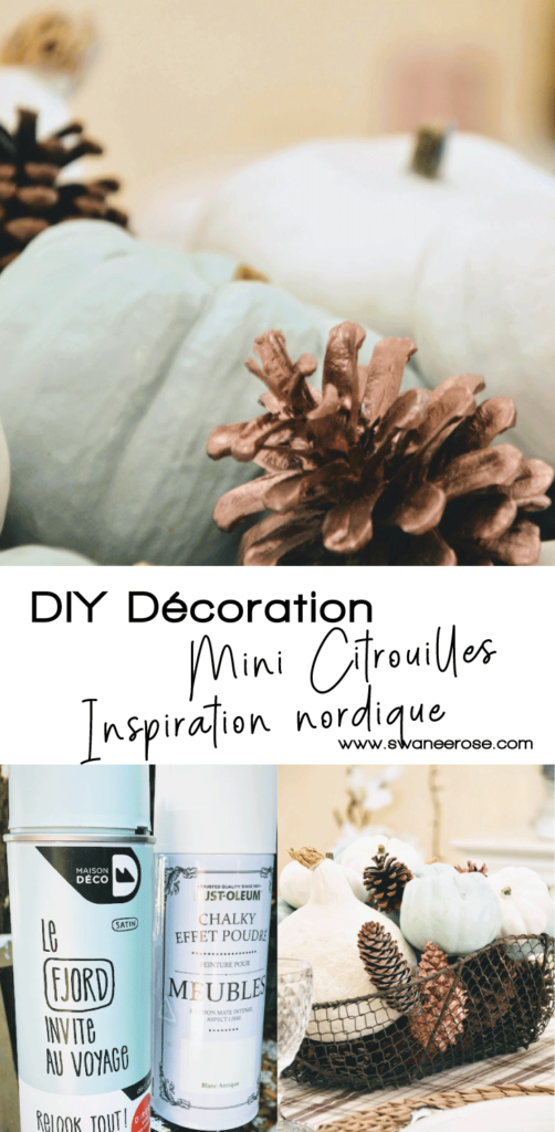 Mini-citrouilles-inspiration-nordique-sur-Swanee-Rose-Le-Blog