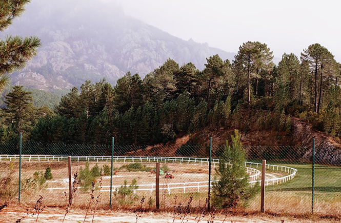 Ballade dans la montagne corse à l'hippodrome de Viseo