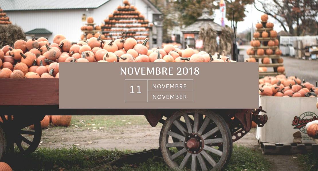 Mon agenda de novembre 2018