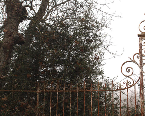 Matins de brume automnale sur Swanee Rose Le Blog