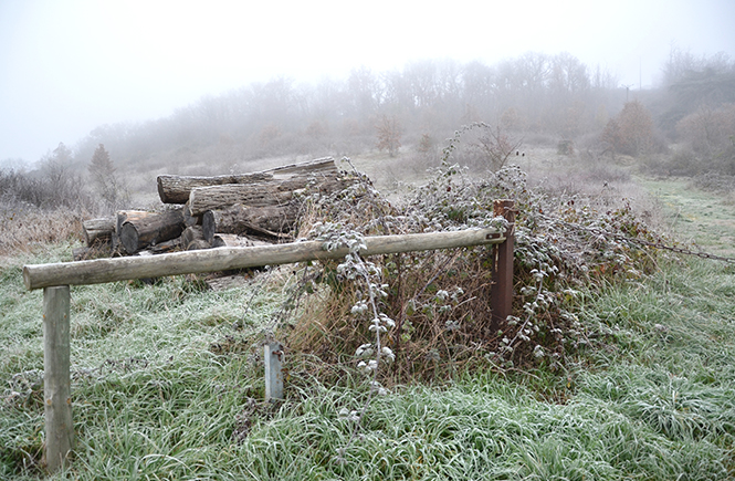 Brouillard d'hiver sur la campagne