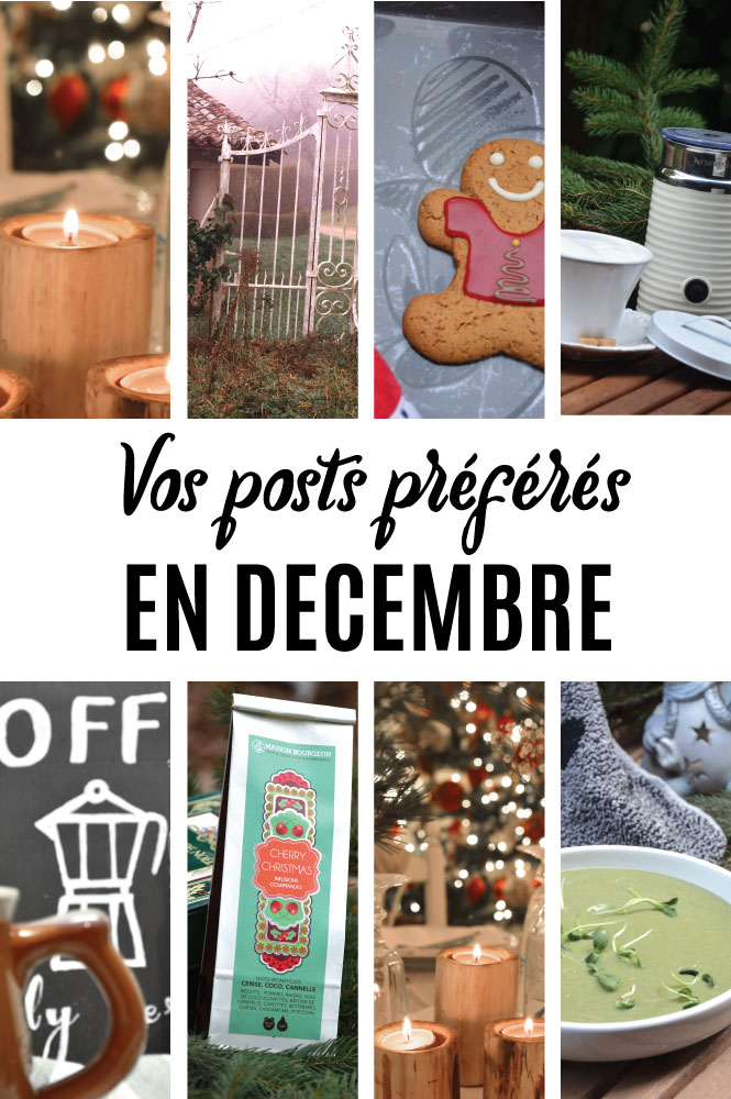 Posts-préférés-en-décembre sur Swanee Rose Le Blog