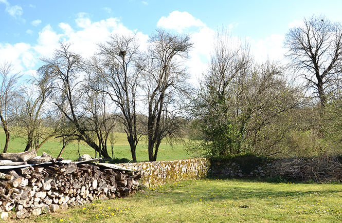 Mur de pierre devant une prairie