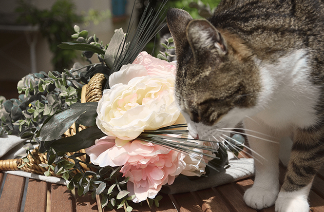 DIY Panier de porte fleuri Swanee Rose Le Blog