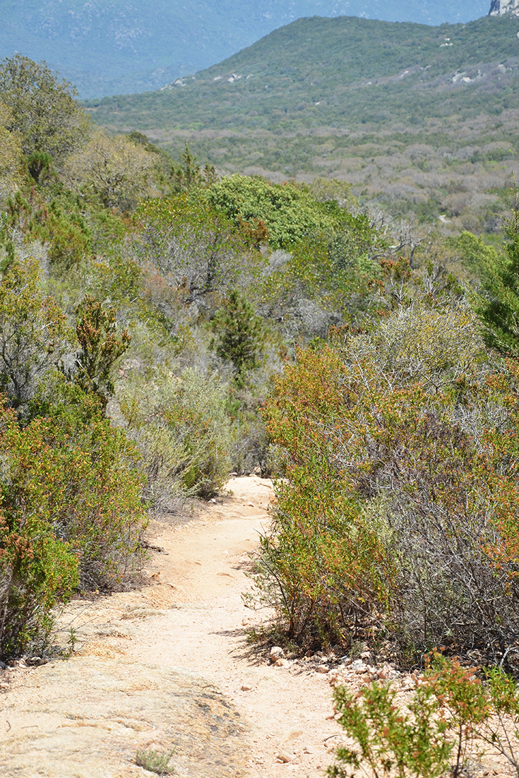 La grâce sur le chemin des vacances par Swanee Rose Le Blog