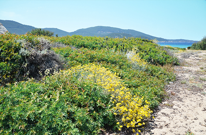 La grâce sur le chemin des vacances par Swanee Rose Le Blog