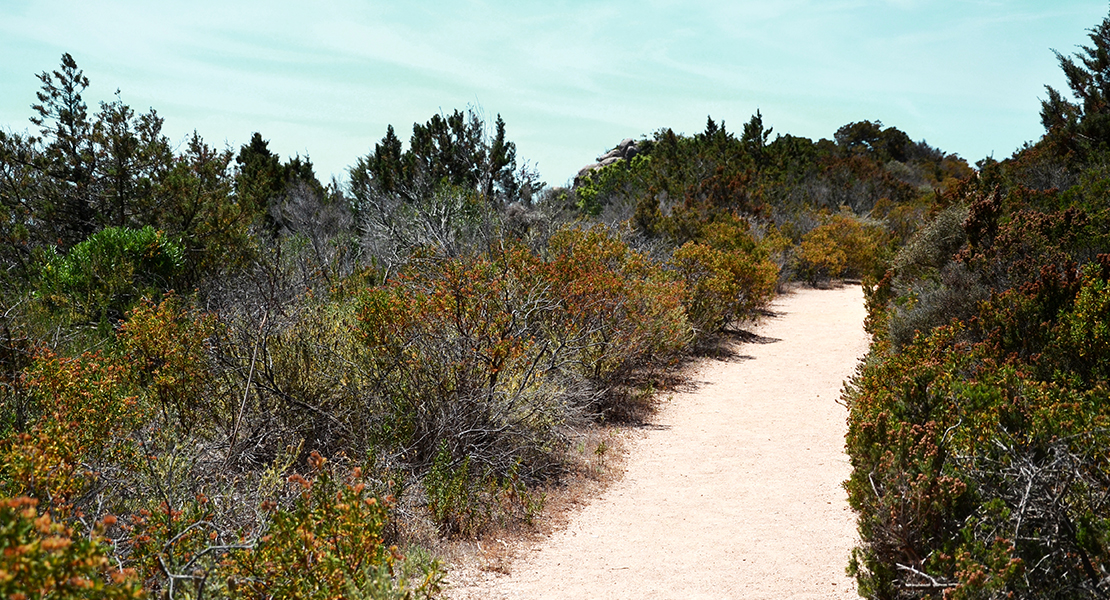 La grâce sur le chemin des vacances par Swanee Rose Le Blog