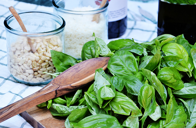 Recette du pesto genovese sur Swanee Rose Le Blog