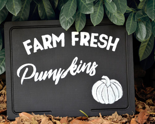 DIY Farm Fresh Pumpkins Enseigne sur Swanee Rose Le Blog