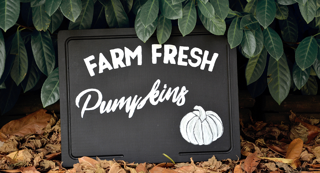 DIY Farm Fresh Pumpkins Enseigne sur Swanee Rose Le Blog