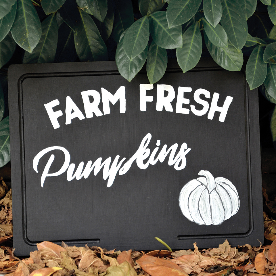 DIY-Farm-Fresh-Pumpkins-Enseigne