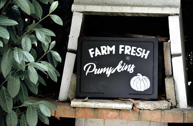 DIY Farm Fresh Pumpkins Enseigne sur Swanee Rose Le Blog