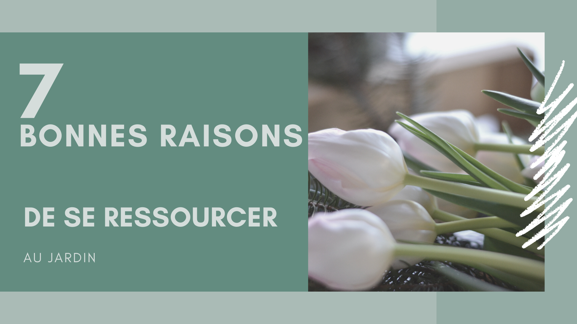 7 bonnes raisons de se ressourcer au jardin