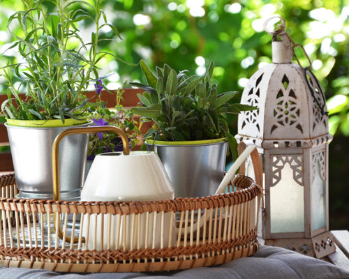 Petit-jardin-herbes-fraîches-9