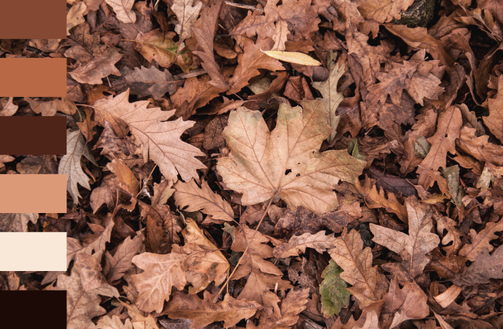 Au cœur de l'automne par Swanee Rose Le Blog