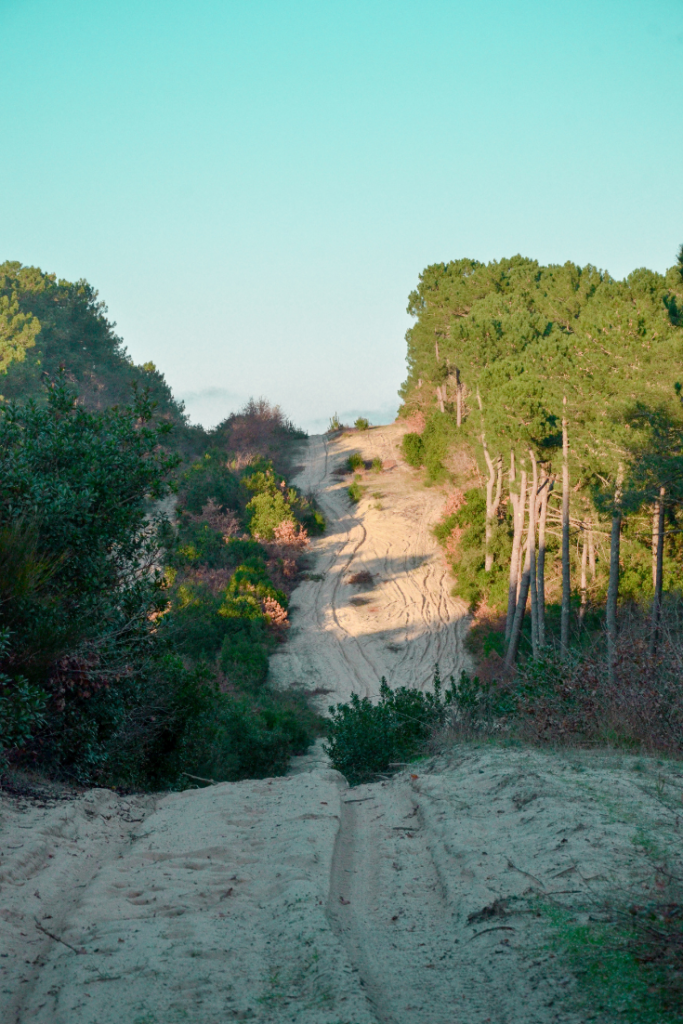 Cap Ferret