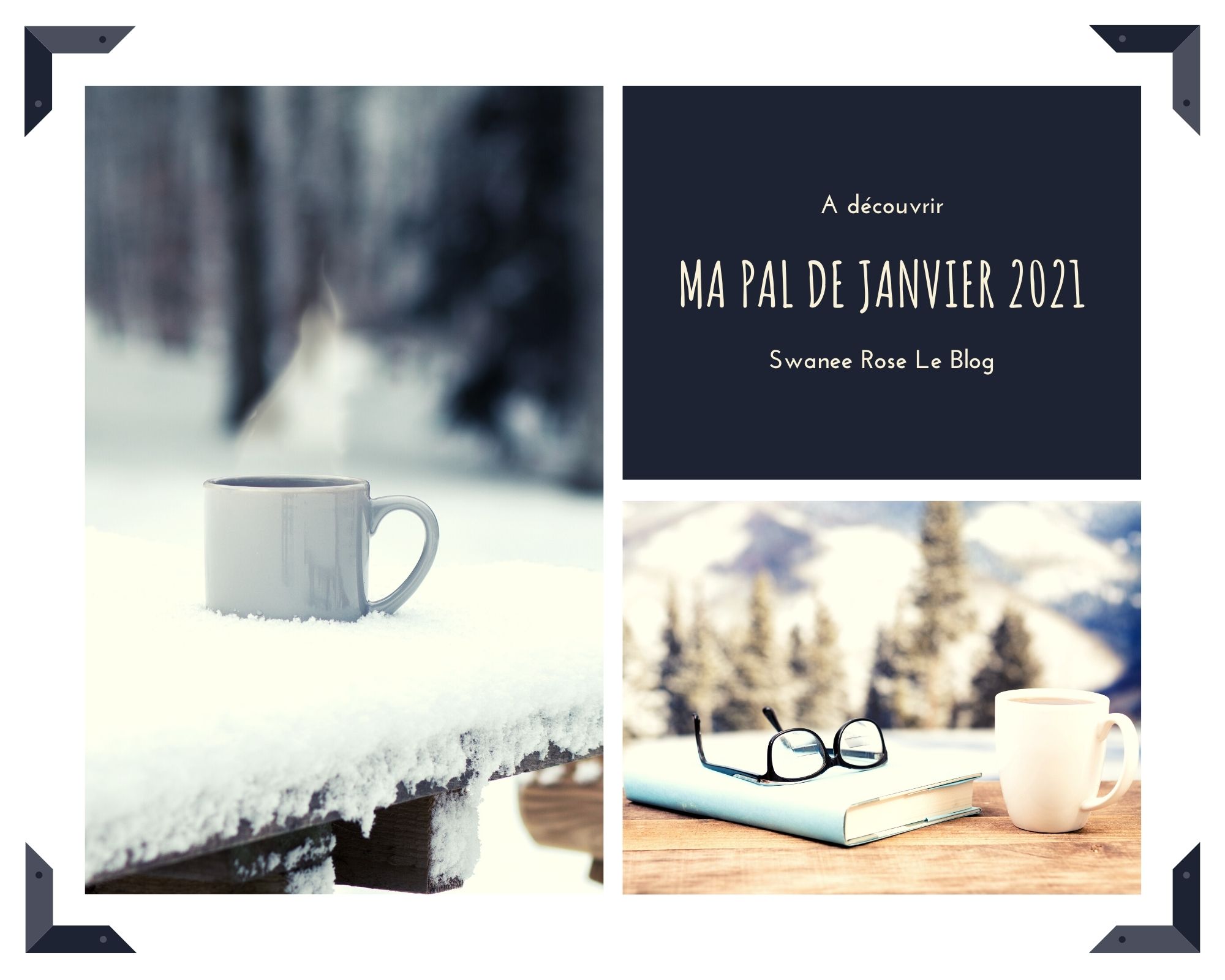 PAL JANVIER 2021