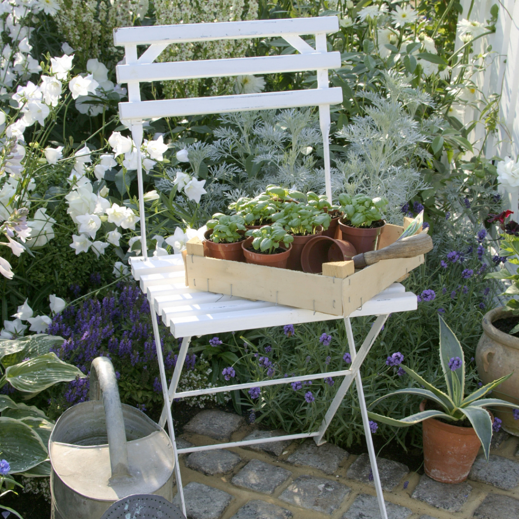 Mars au jardin
