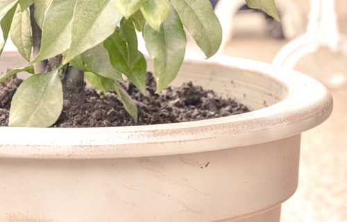 DIY Pot de jardin vieilli