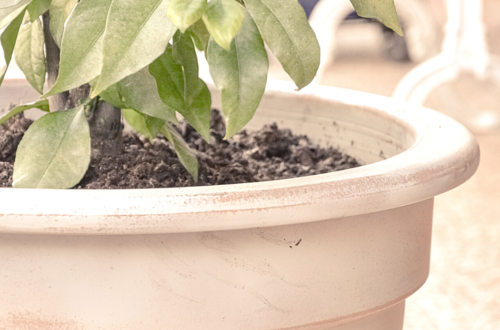 DIY Pot de jardin vieilli