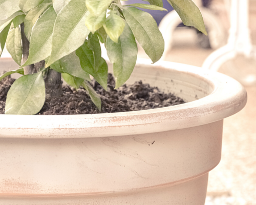 DIY Pot de jardin vieilli