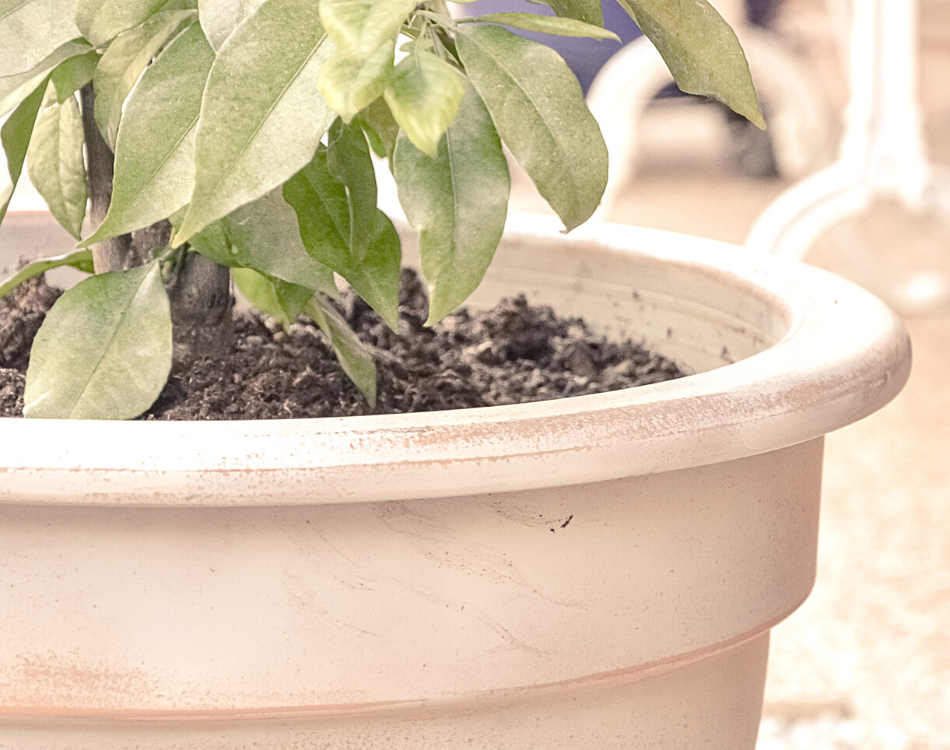 DIY Pot de jardin vieilli