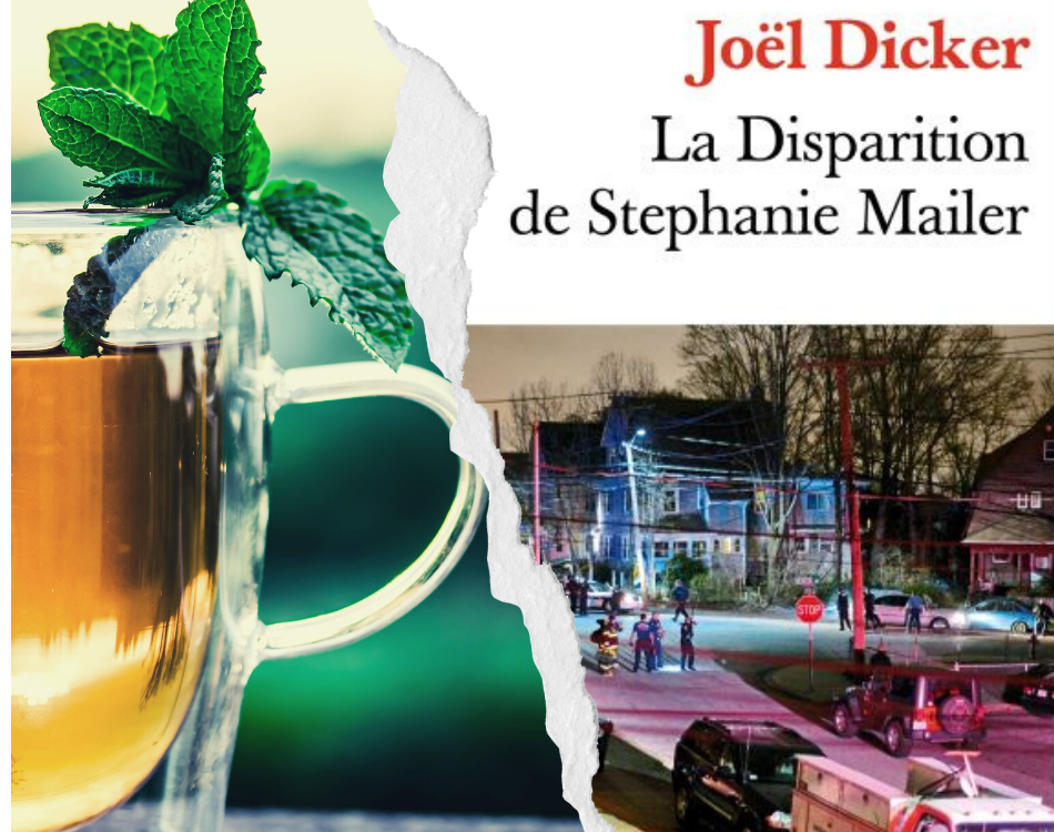 La disparition de Stéphanie Mailer de Joël Dicker