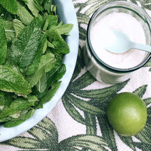 Un régal de sirop de menthe bio