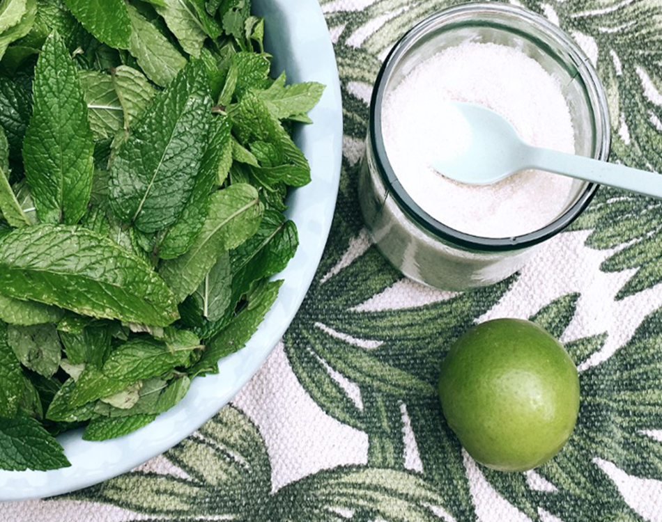 Un régal de sirop de menthe bio