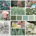 Moodboard Avril au jardin